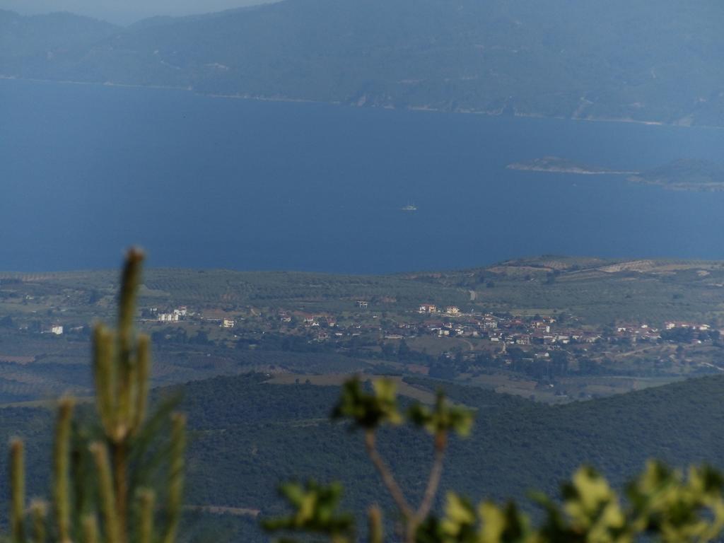 Guesthouse Rodamos Taxiarkhis  Dış mekan fotoğraf